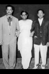 NTR Birthday Special Gallery